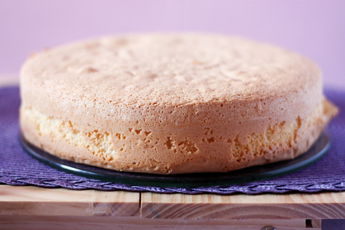 Pan di Spagna Italian Sponge Cake Photo